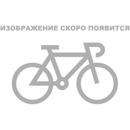 Велосипед Stels Pilot 410 20 Z010 (2022)